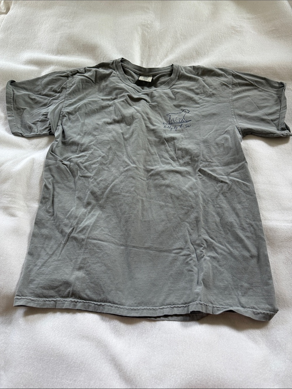 Men's Short-Sleeve Crewneck T-Shirt in Gray with Subtle Line Art